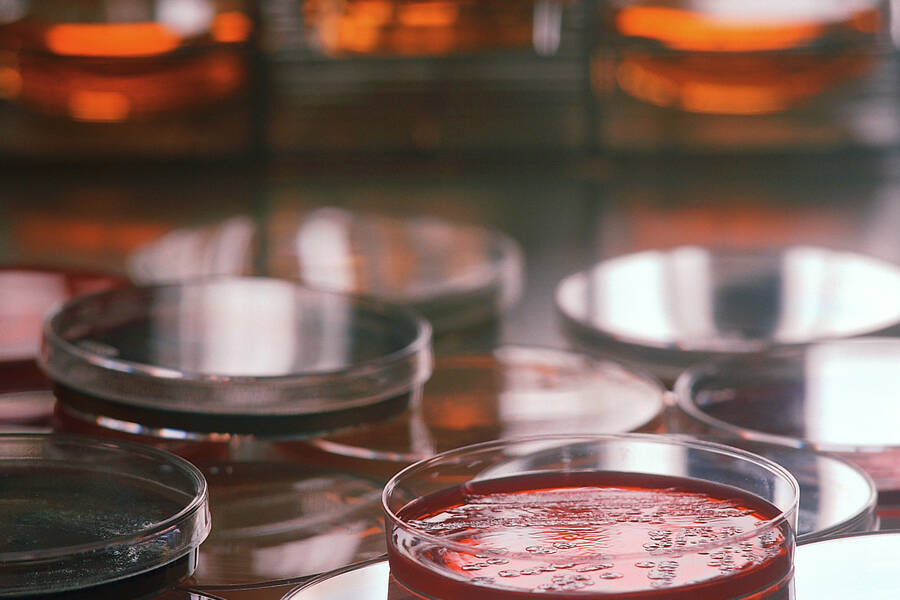 <strong></strong>Analytical Testing